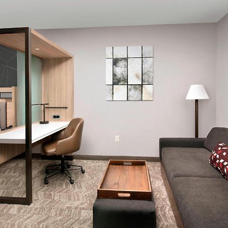 Springhill Suites By Marriott Albuquerque North/Journal Center Alameda Luaran gambar